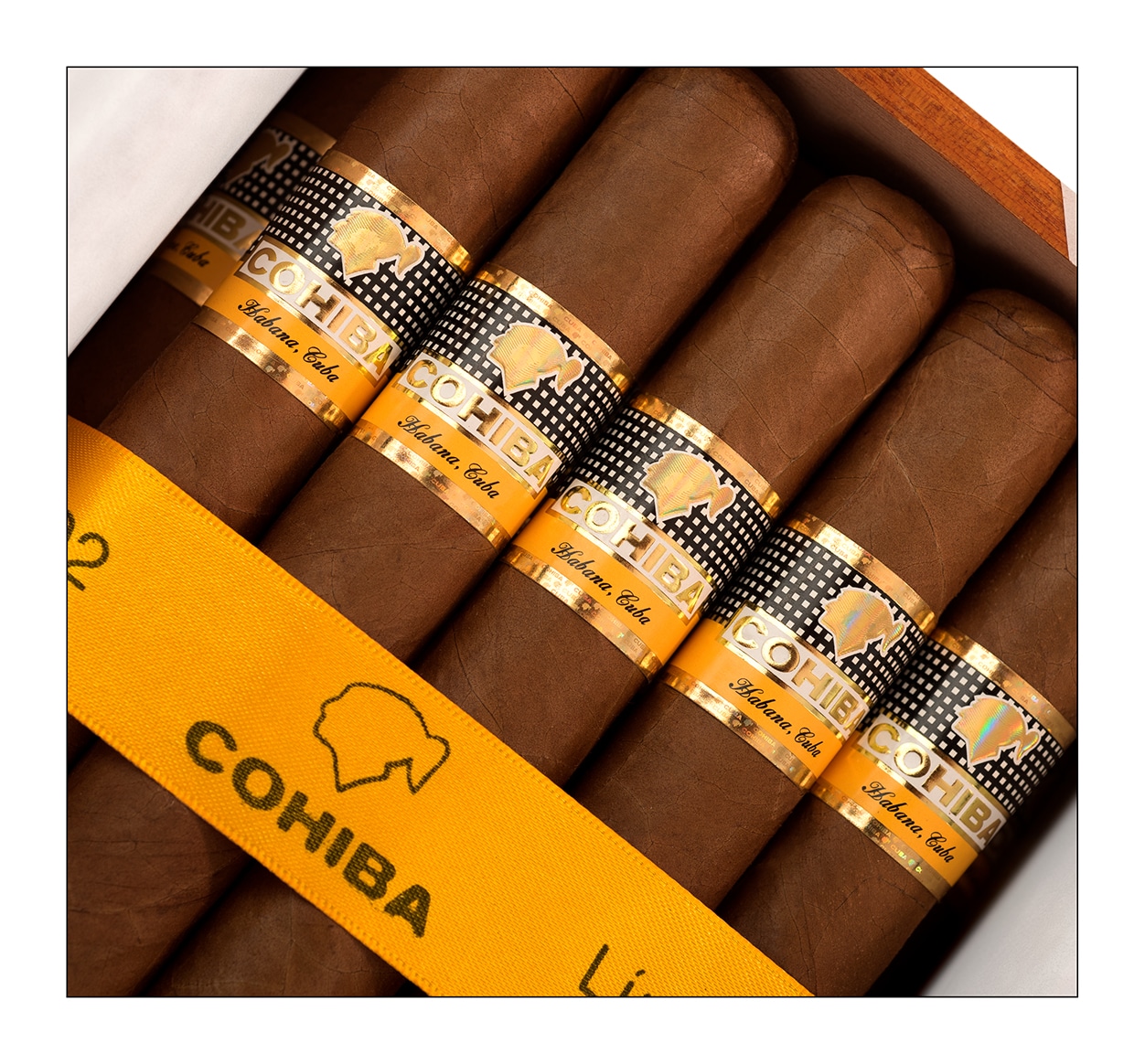 Cohiba Siglo II