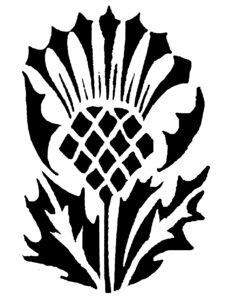 Thistle design