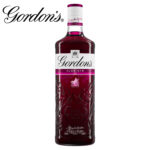 GORDON'S SLOE GIN