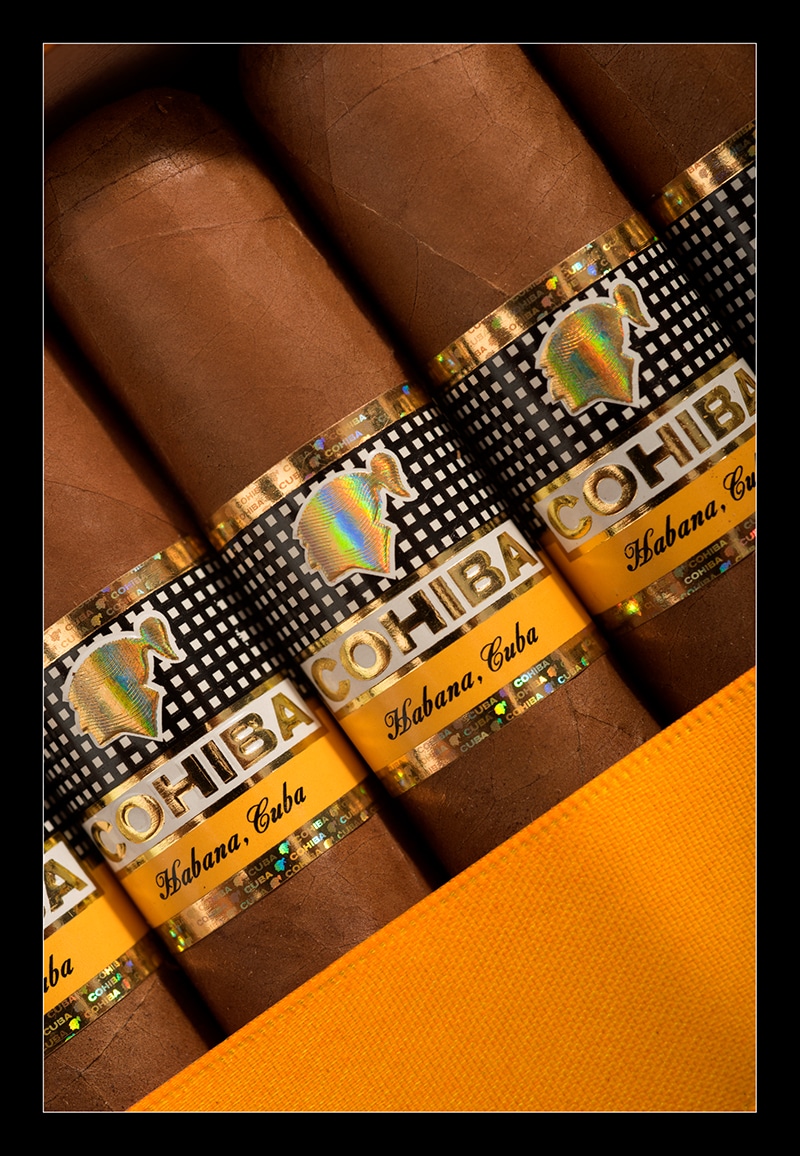 Cohiba Robustos