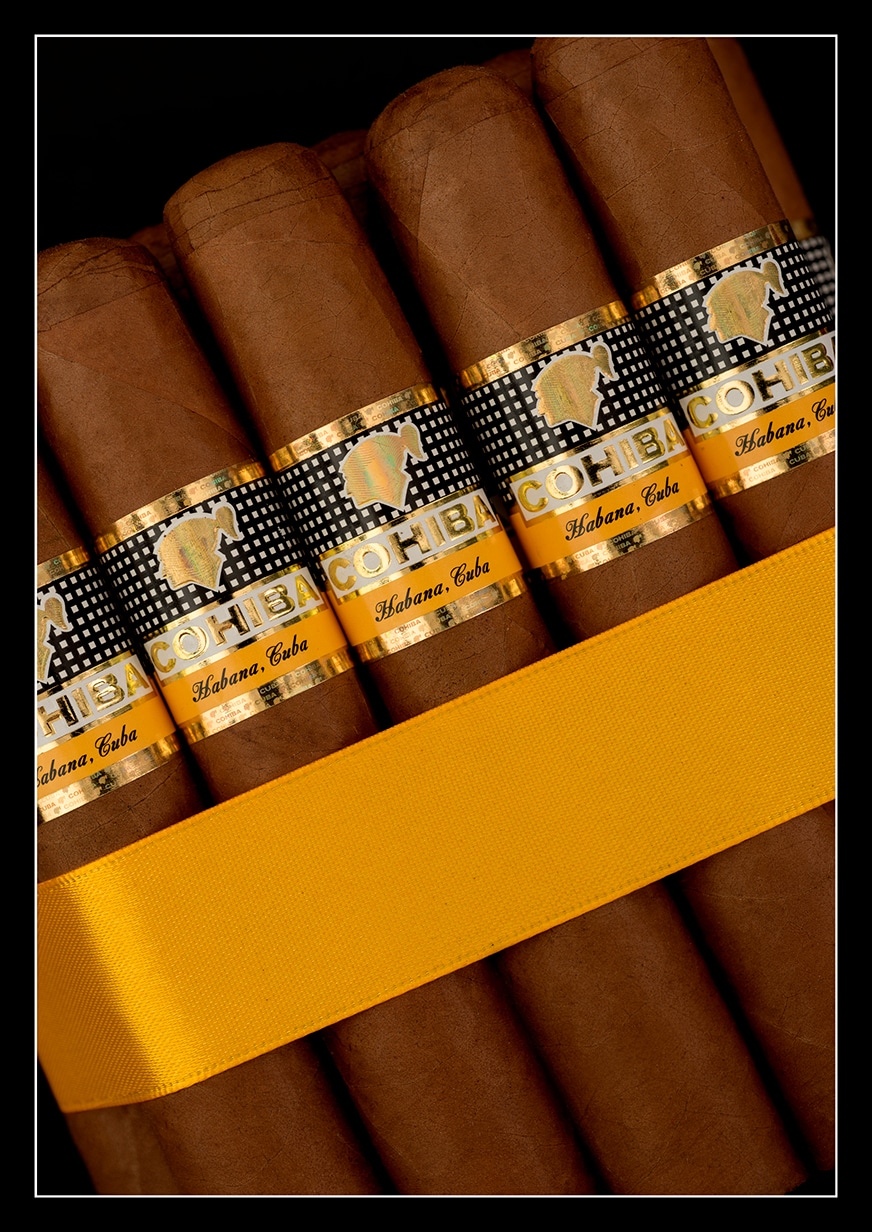 Cohiba Robustos