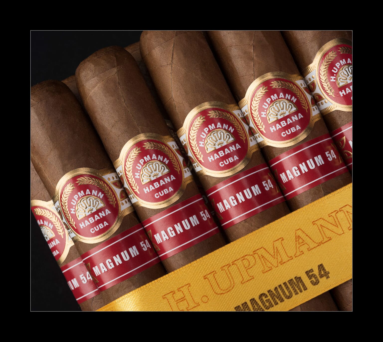 H Upmann Magnum