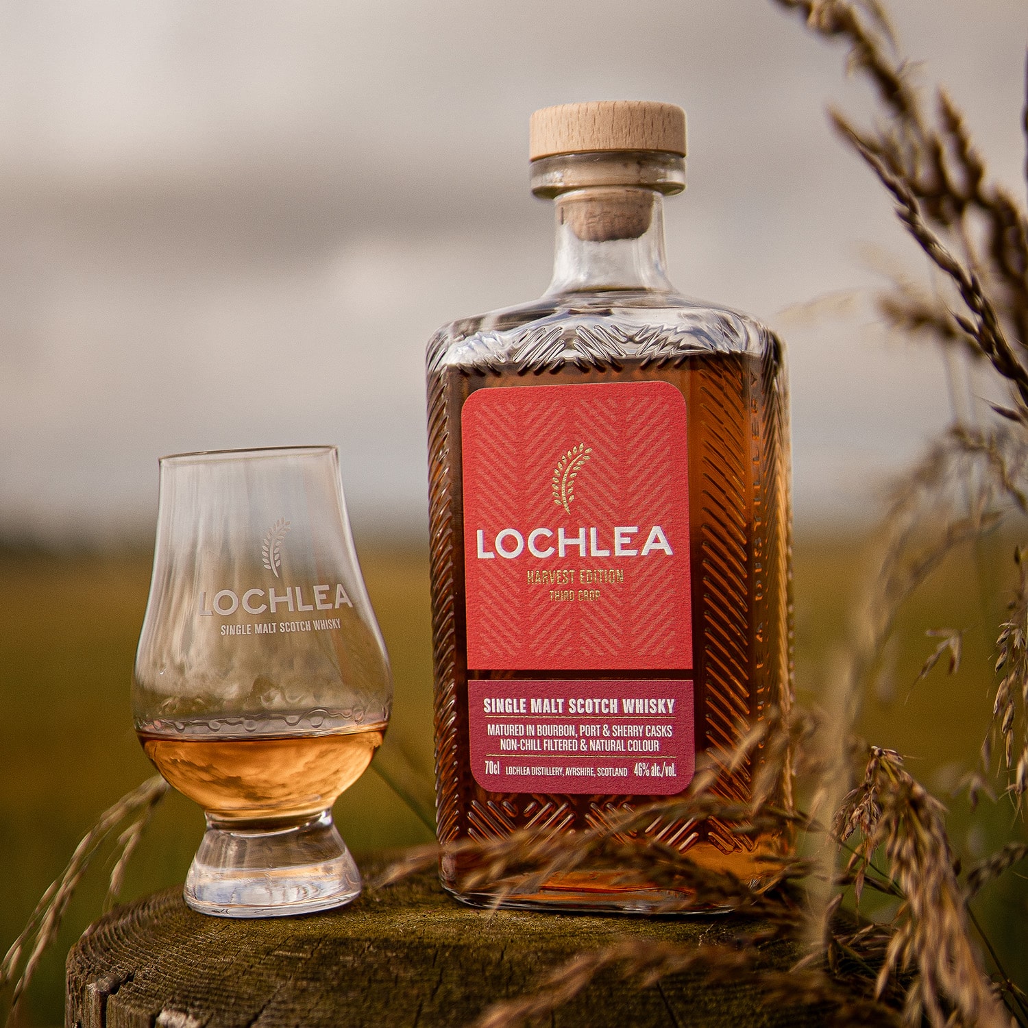 Lochlea Harvest