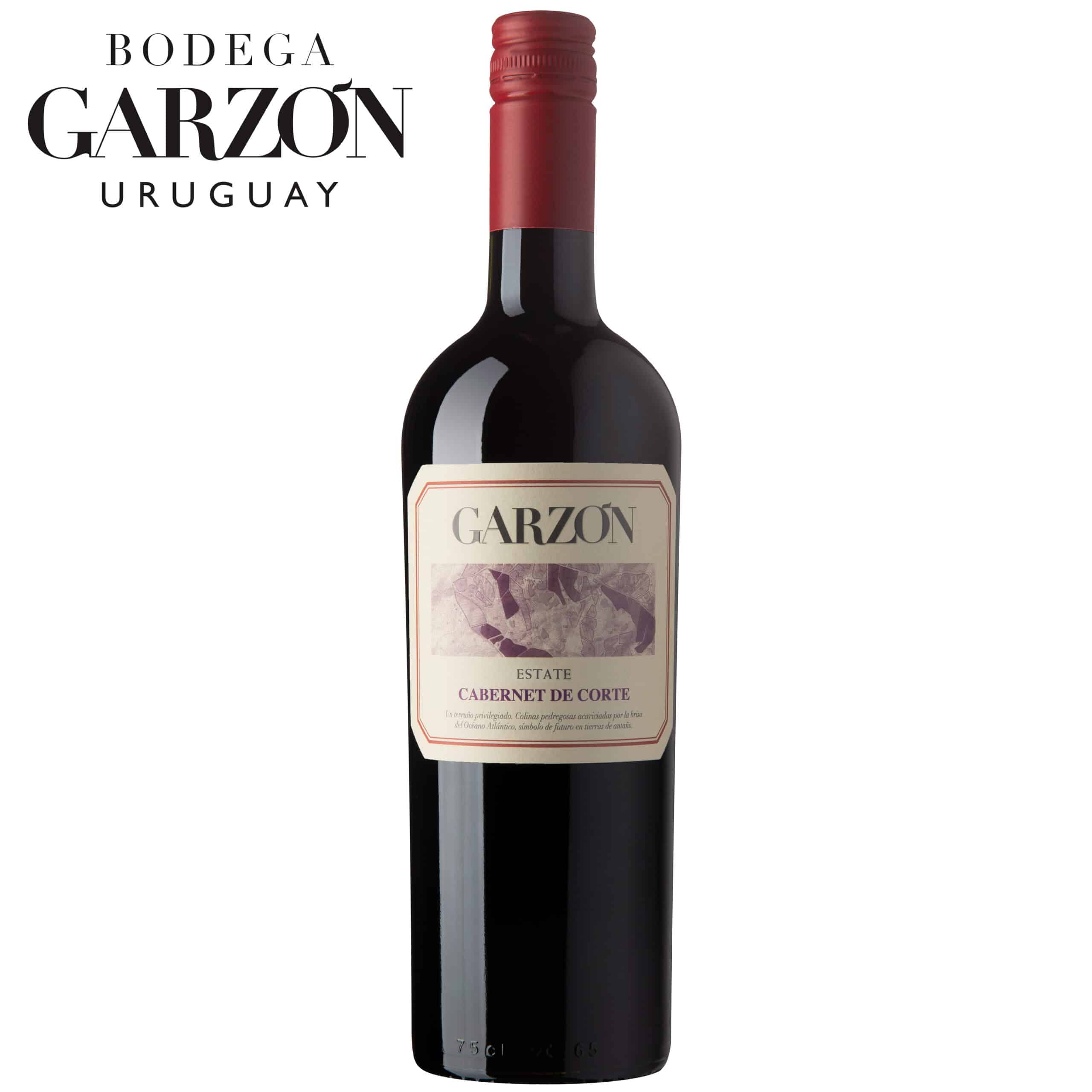 Garzon