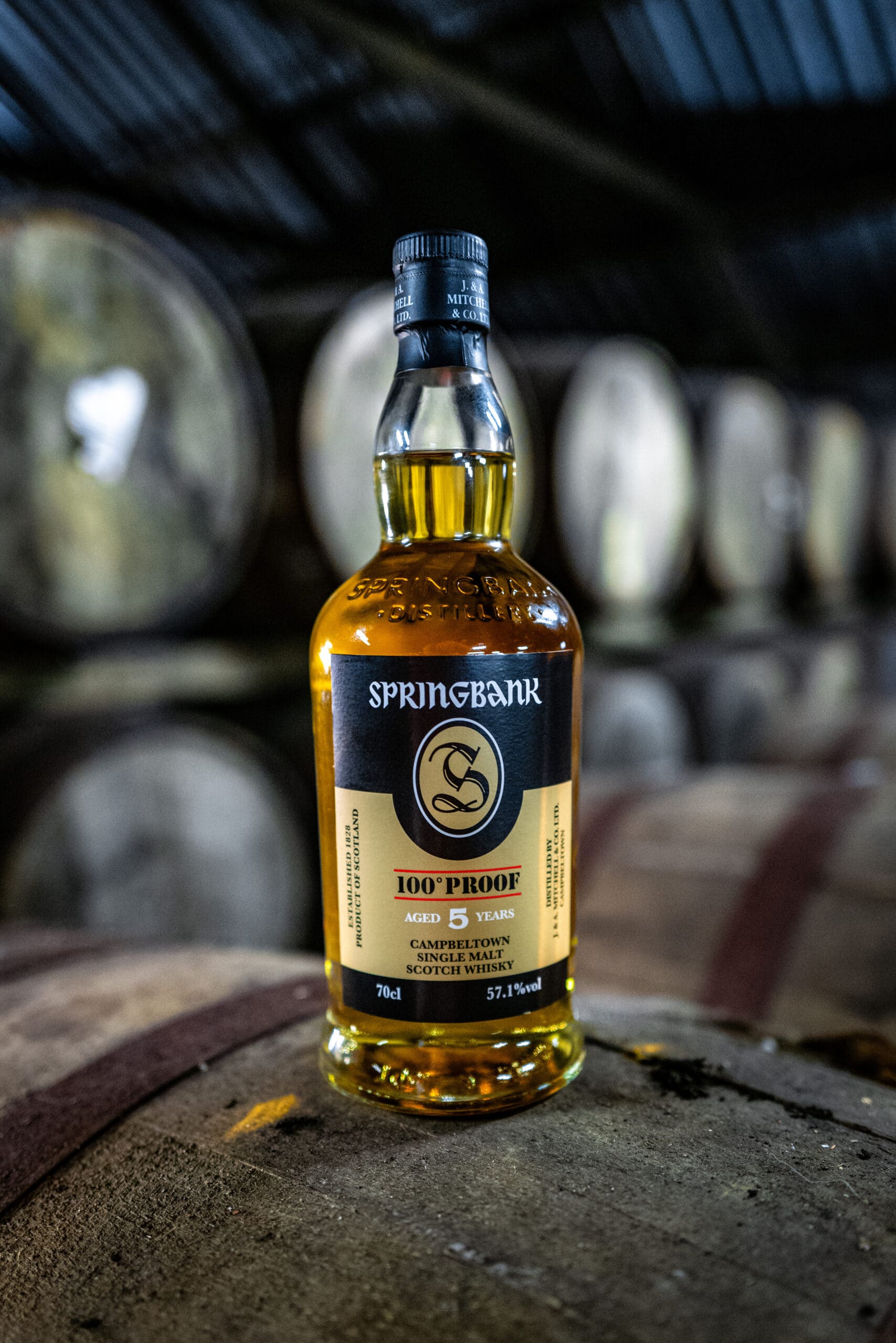SPRINGBANK 100 PROOF 5YO - TB Watson