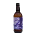 Five Kingdoms Dark Storm