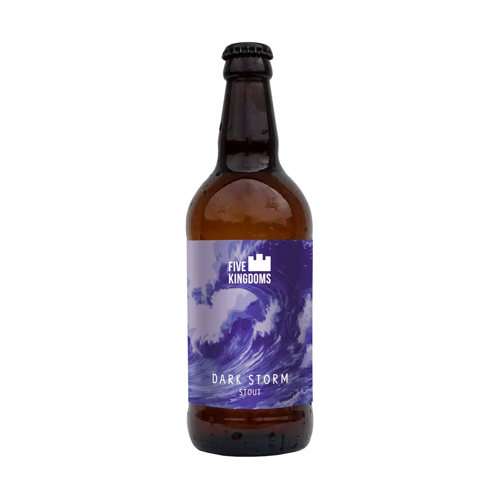 Five Kingdoms Dark Storm